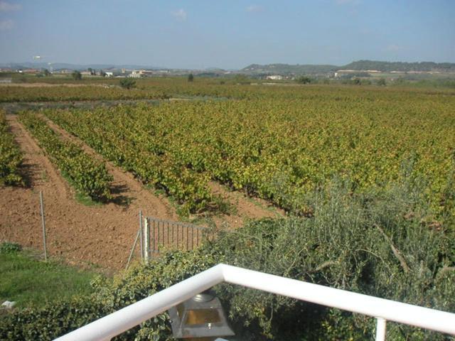 Villa Casa Fontanals Pla del Penedès Habitación foto